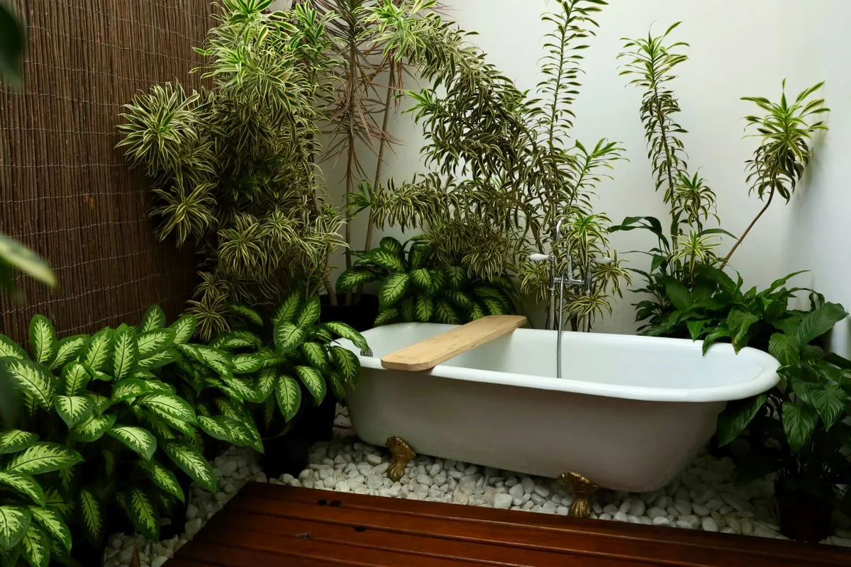 Salle de bains végétalisée avec baignoire îlot — Suite Junior Vue Mer, Hôtel Olympe Libreville